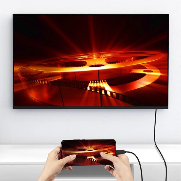 USB-C To Displayport Cable M/M 1. - immagine 2