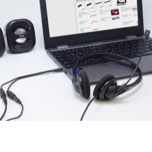 Adattatore Audio Male Vs 2 Female - immagine 3