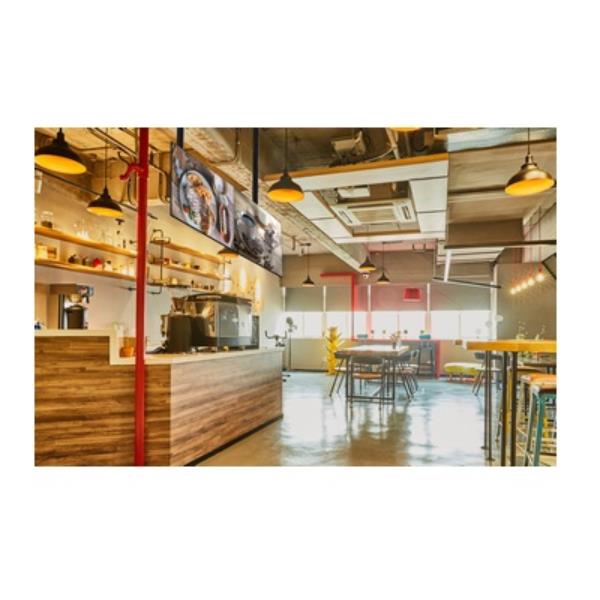 45 -55 Dual Screen Ceiling Mountl - immagine 6