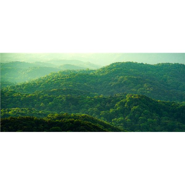 Dell 32 Plus 4K Monitor - S3225Qs - immagine 3