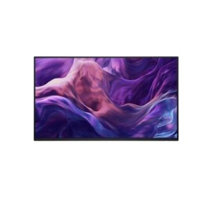 Dell 24 Monitor No Stand P2425Hwo