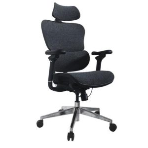 Office Chair Ergonimic Blu