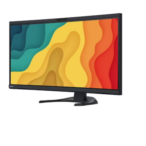 Flexscan Monit 34 Nero - immagine 2