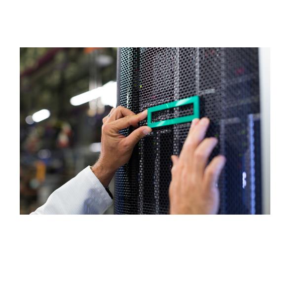 Hpe Dl380 G11 2U X8/X16/X8 Sec R - immagine 2