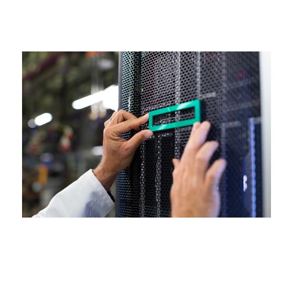 Hpe Dl360 Gen11 Cpu1_Ocp2 X8 Ena - immagine 2