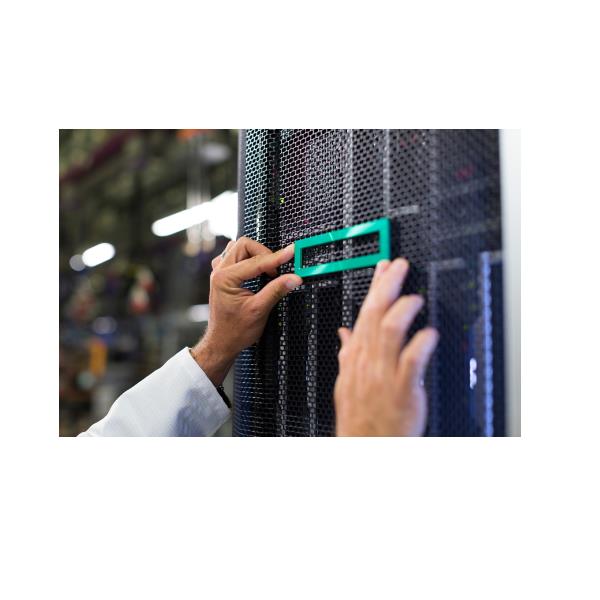 Hpe Dl320 Gen11 Ns204I-U Nvmekit - immagine 2