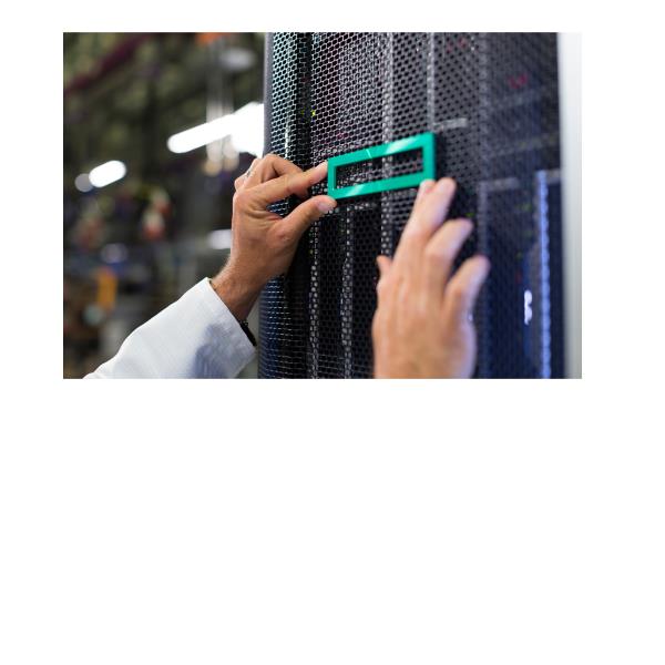 Hpe Ml30 Gen11 Small Form Factor Pcie Cbl Kit - immagine 2