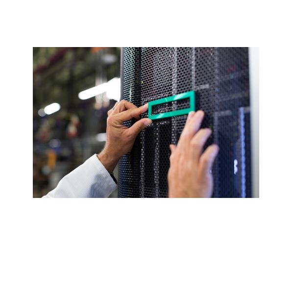 Hpe Dl380 Gen11 8Sff Cpu1/2 NVMe - immagine 2