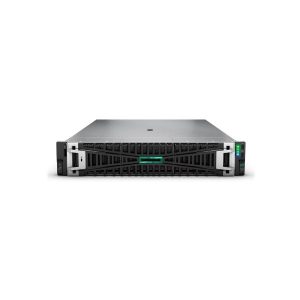 Smart Choice Hpe Dl380 G11 4510 64G