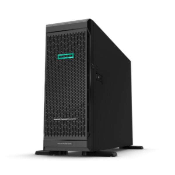 Smart Choice Hpe Ml350 G11 4510 64G - immagine 2