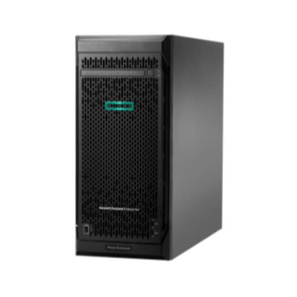 Smart Choice Hpe Ml110 G11 4510 64G - immagine 2