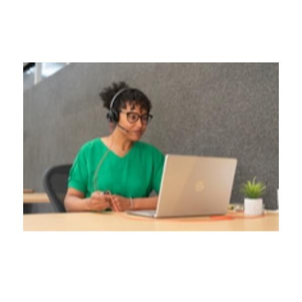 Poly Bw 3220 Stereo USB-C Hs+Us M12 - immagine 4