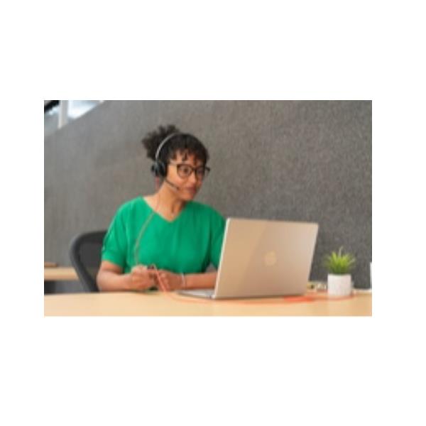 Poly Bw 8225 Stereo USB-C+A Moq10 - immagine 4