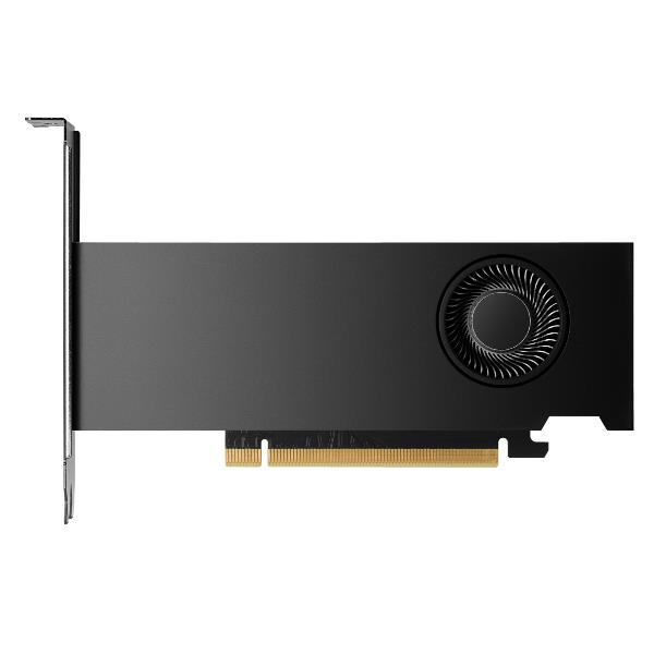 HP Nvidia Rtx 2000 Ada 16 GB 4Mdp - immagine 3