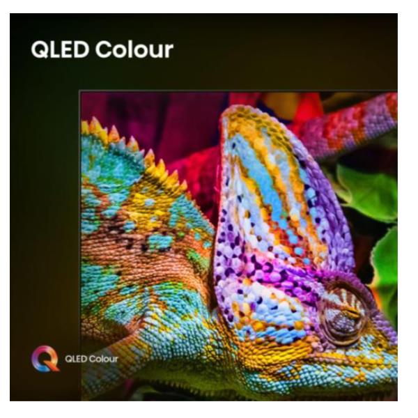 55 U79Q Mini LED 4K UHD Smart 144Hz - immagine 3