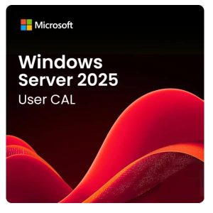 Windows Svr 2025 Cal (1 User)