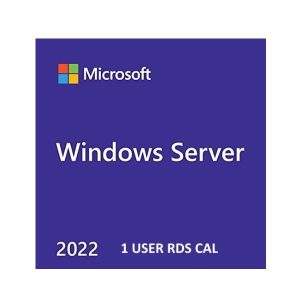 Winsvr 2022 Rmtdsk Svcs Cal(1 User)
