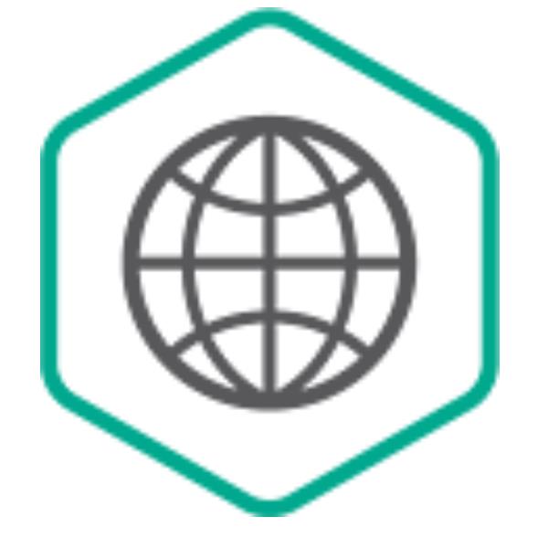 Kse Gateway Eu 250-499 1Y Bs Lic