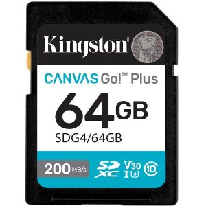 64Gb Sdxc Canvas Go Plus Gen4