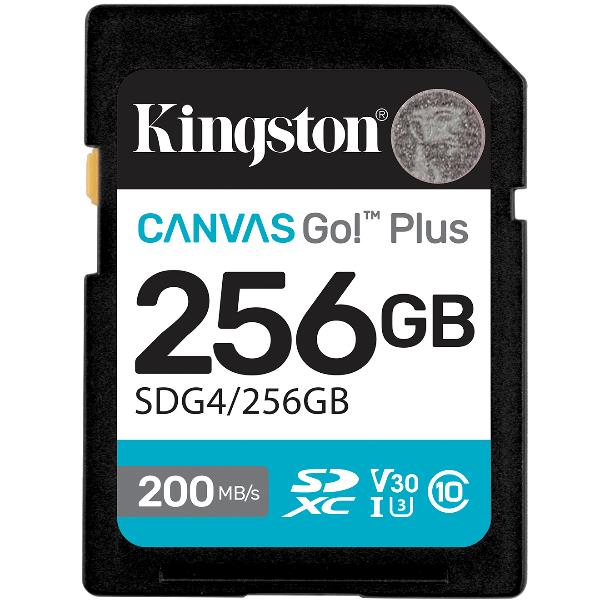 256Gb Sdxc Canvas Go Plus Gen4