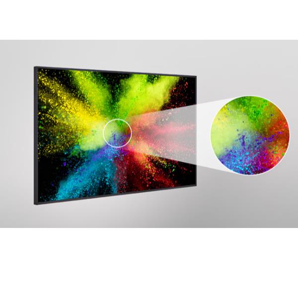 65Uh5Q-E - immagine 4