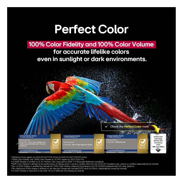 48 OLED Evo G5 4K UHD Base C Webo25 - immagine 6