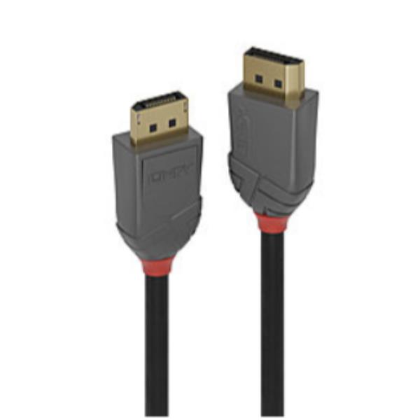 Cavo DP 1.4 0.5M