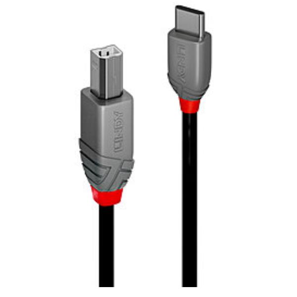 2M Cavo USB 2.0 Tipo C A B, Anthra - immagine 2