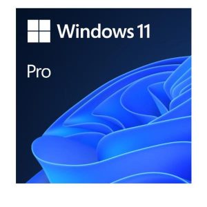 Windows 11 Pro Esd All Lang