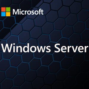 Windows Server Cal 2025 It 5Dev Cal