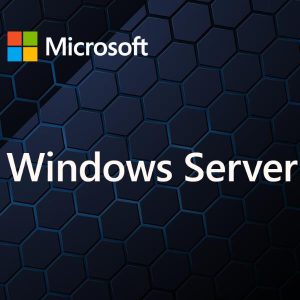 Windows Server Cal 2025It 1U Cal