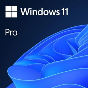 Win11 Pro N Upgrade