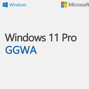 Winggwa-Win11Pron-Legalgetgenuine