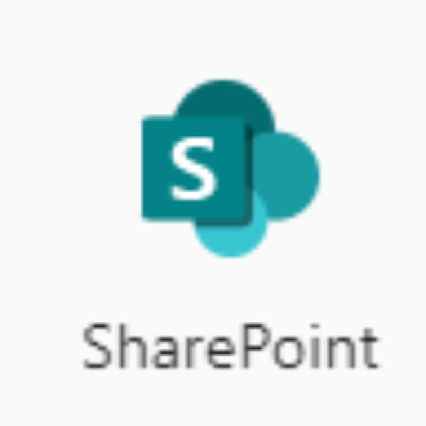 Sharepoint (Plan 2) - immagine 3