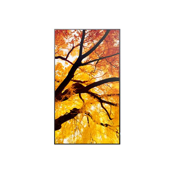 Multisync M322 - immagine 5