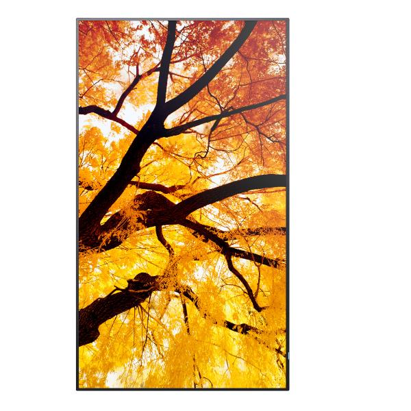 Multisync M432 - immagine 2