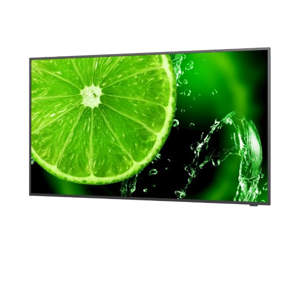 Multisync E498Q - immagine 2