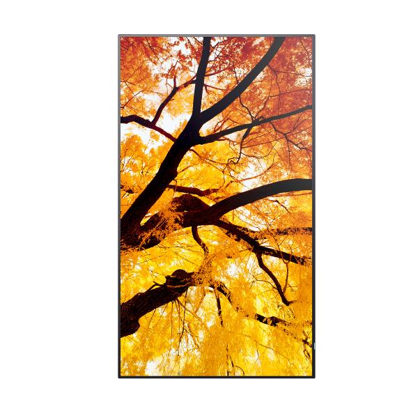 Multisync M552 - immagine 8