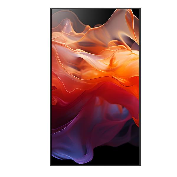 Multisync E659 - immagine 2