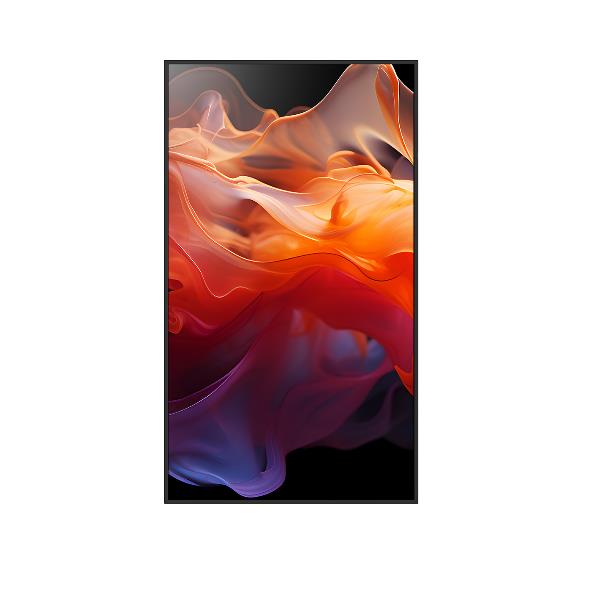 Multisync E559 - immagine 4