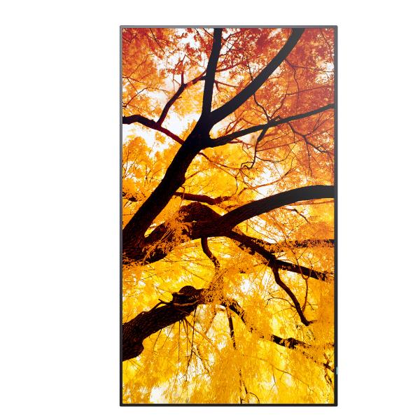 Multisync M502 - immagine 2