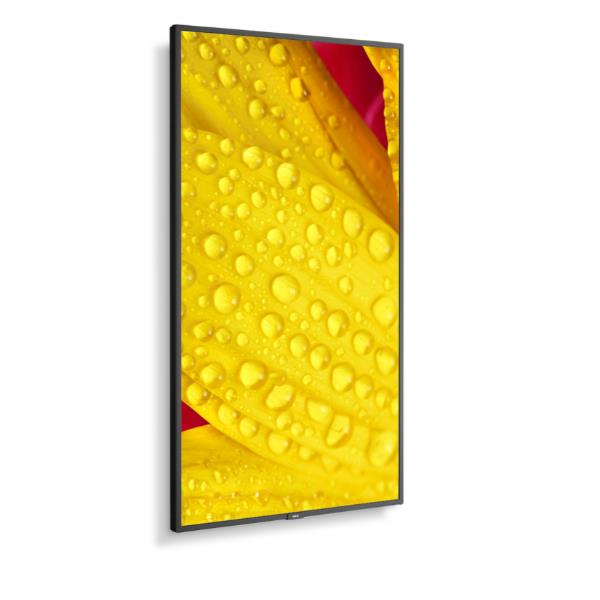 Multisync Me651 - immagine 3