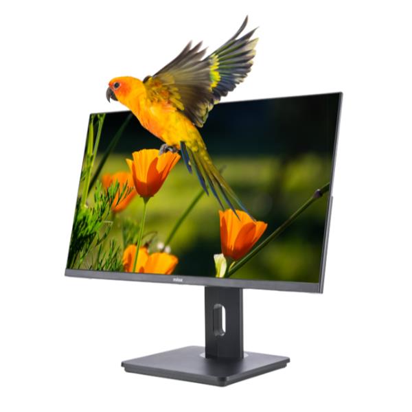 Monitor 24 Reg Va HDMI DP - immagine 3
