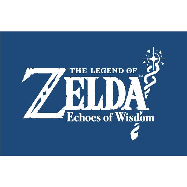 Hac Zelda Echoes Of Wisdom Ita - immagine 4