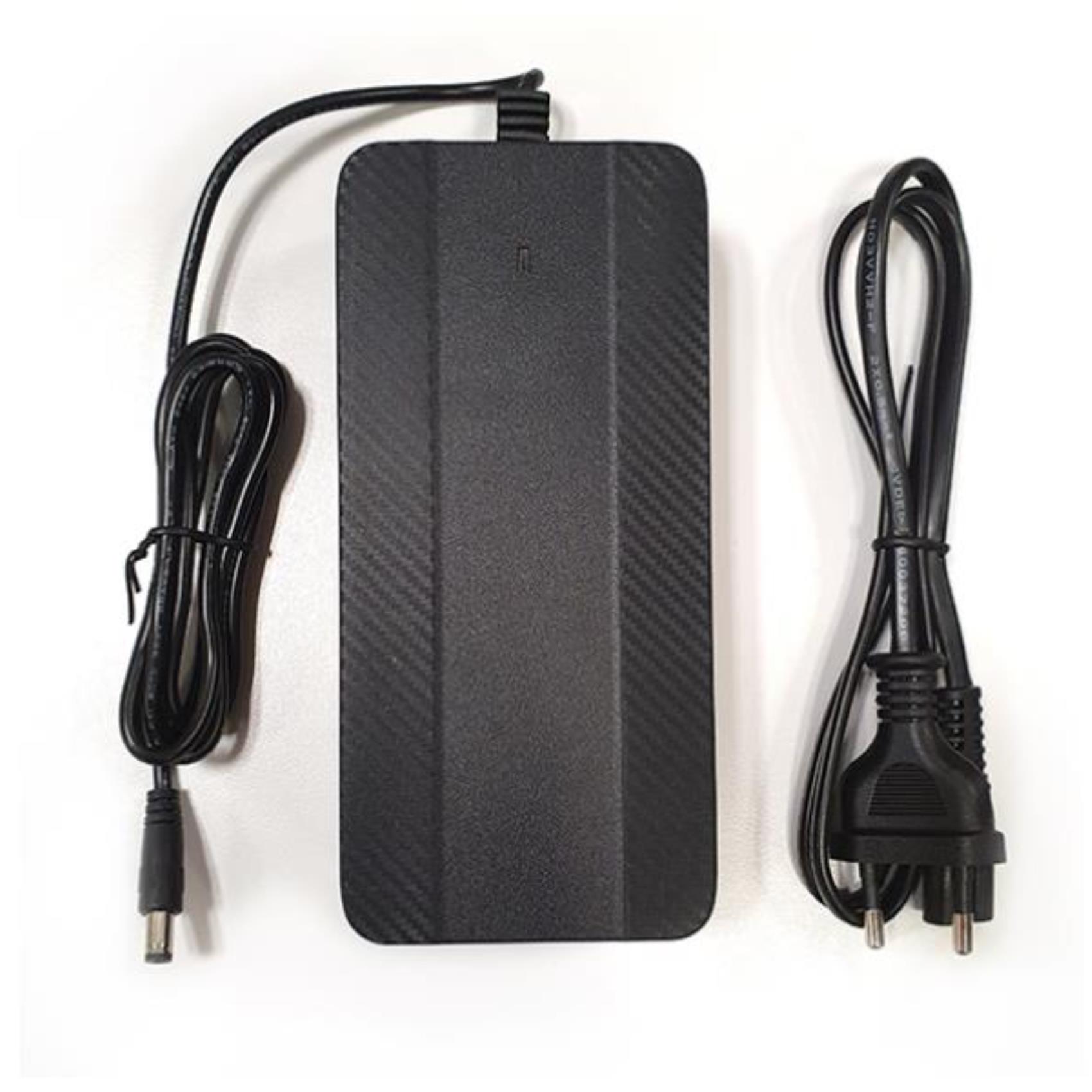 Caricabatteria Schuko Ebike X9