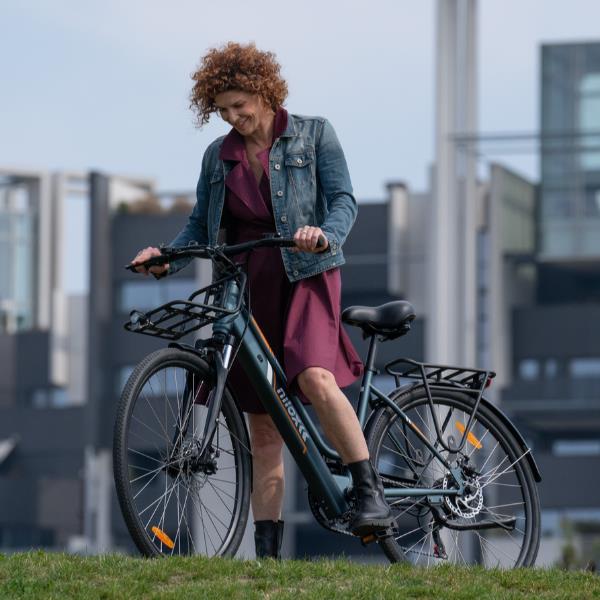 Ebike 36V 10Ah 28X1.75P Cargo Light - immagine 4