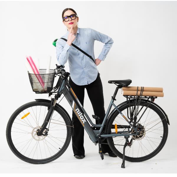 Ebike 36V 10Ah 28X1.75P Cargo Light - immagine 7