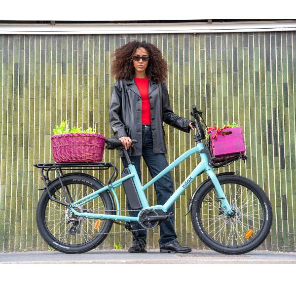 Ebike 36V 13Ah Cargo Mid Motor C2 - immagine 4