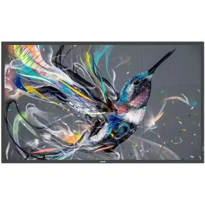 Monitor 43 Q-Line 18/7 4K