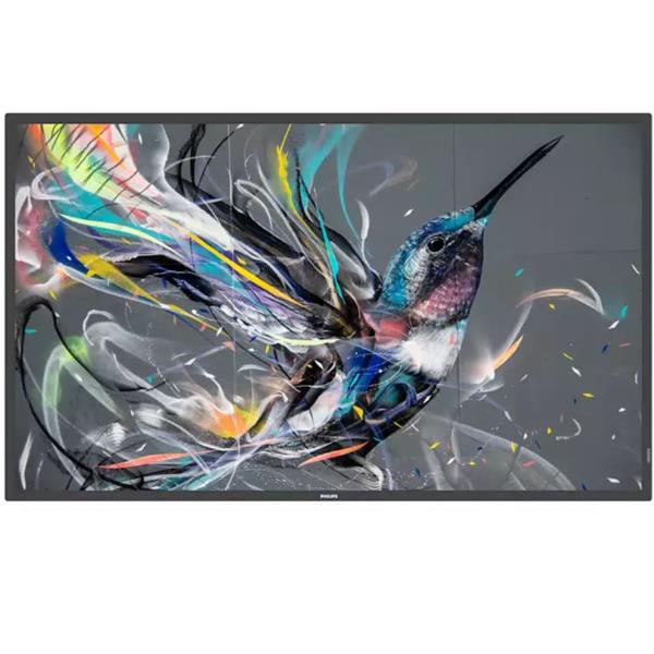 Monitor 50 Q-Line 18/7 4K - immagine 2